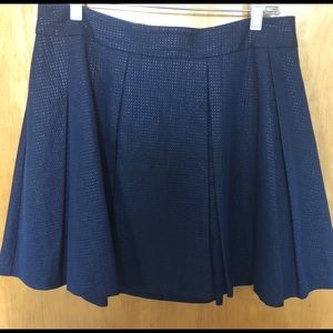 Navy A Line Mini Skirt